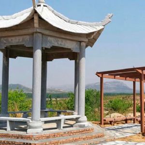 山東藍(lán)大農(nóng)業(yè)發(fā)展有限公司